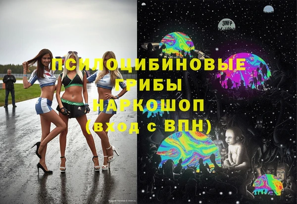 шишки Алапаевск